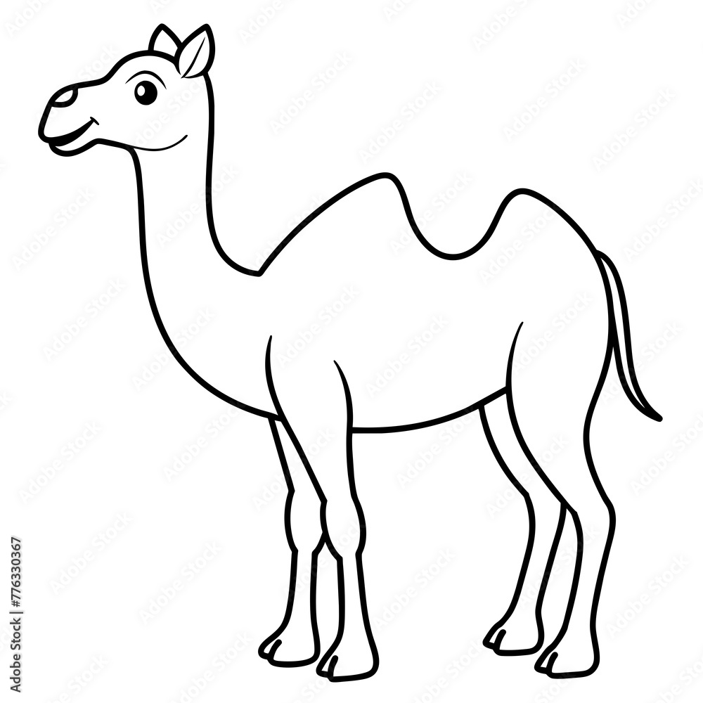 camel cartoon illustration camel cartoon illustration