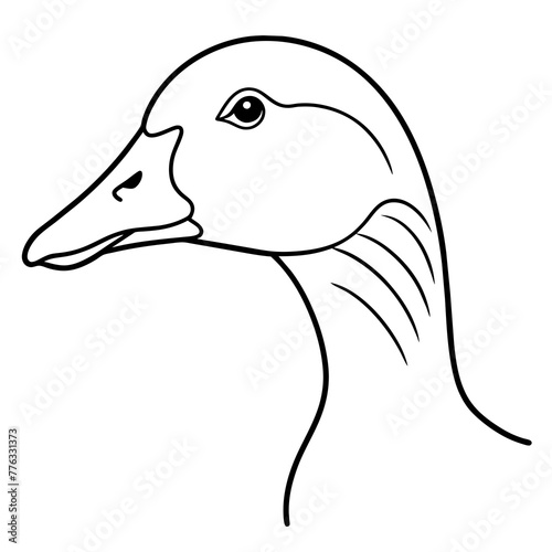 duck isolated on white