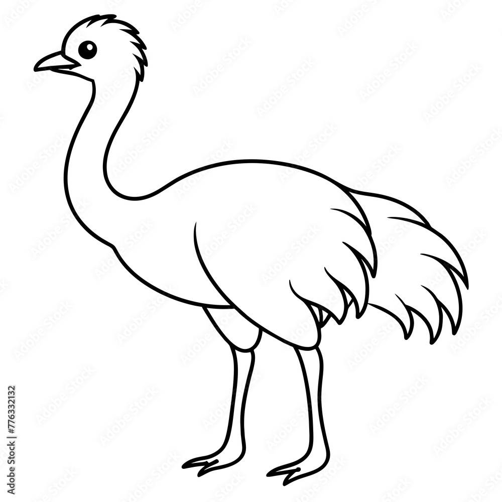 ostrich cartoon isolated on white ostrich cartoon isolated on white