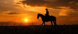 man riding a horse in at sunset