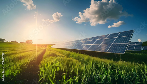 Large plantations of solar panels in a green field illuminated by the sun.