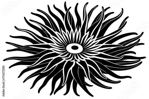 anemone silhouette vector illustration