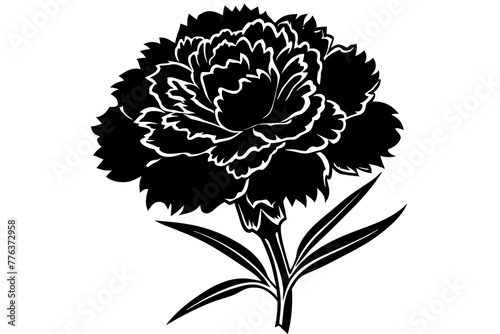 carnation flower silhouette vector illustration