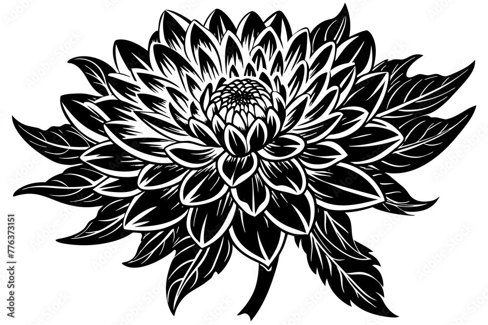 chrysanthemum flower silhouette vector illustration
