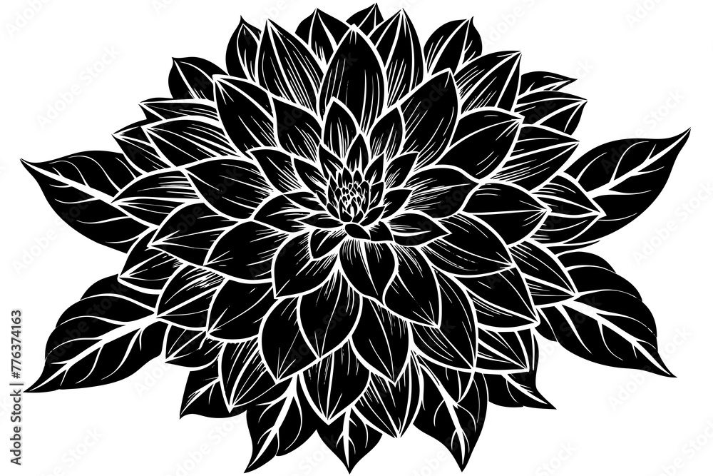 dahlia flower silhouette vector illustration