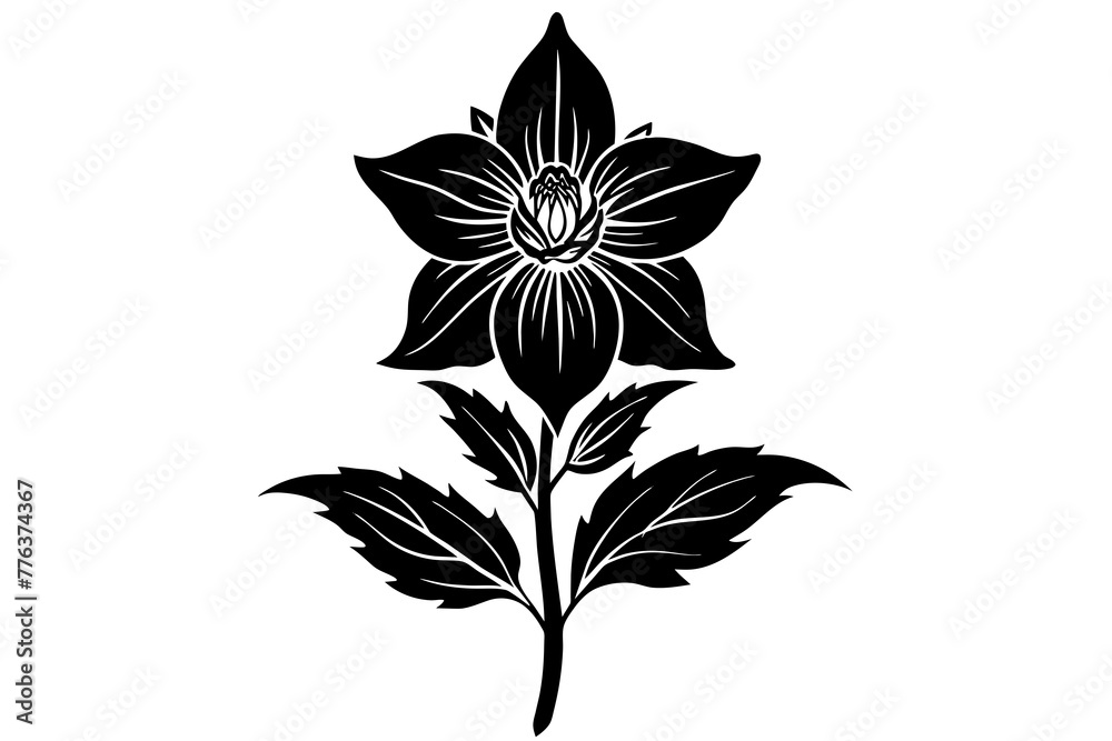 delphinium flower silhouette vector illustration