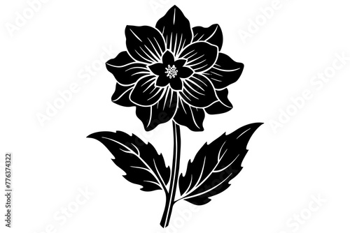 delphinium flower silhouette vector illustration