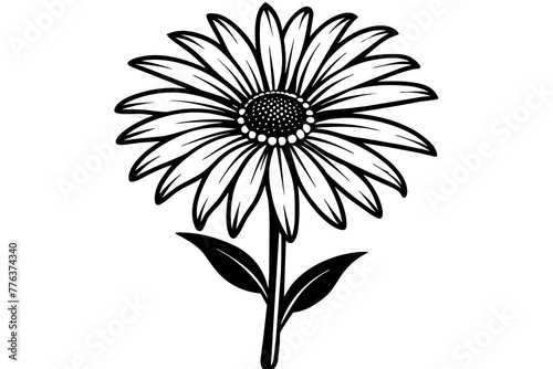  daisy flower silhouette vector illustration