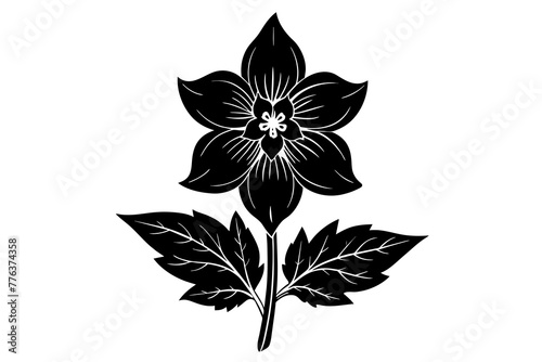 delphinium flower silhouette vector illustration