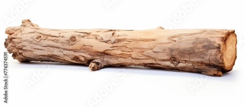 A detailed close-up of a single piece of wooden material placed on a clean white tabletop