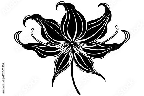 gloriosa flowers vector illustration photo