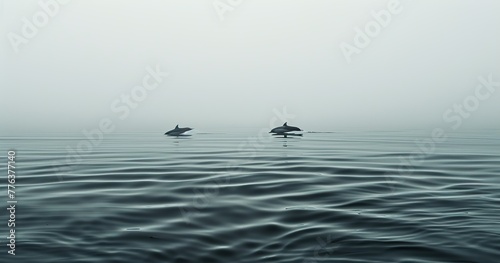 Ripples rising from layer to layer, dolphins jumping up, located in the center of the image
