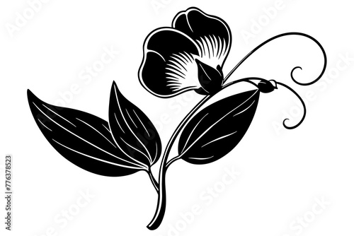 sweet pea flower vector illustration