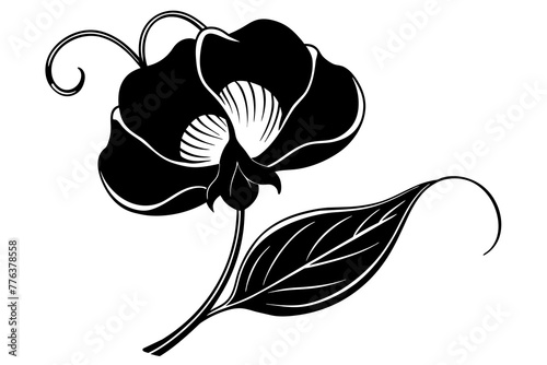 sweet pea flower vector illustration