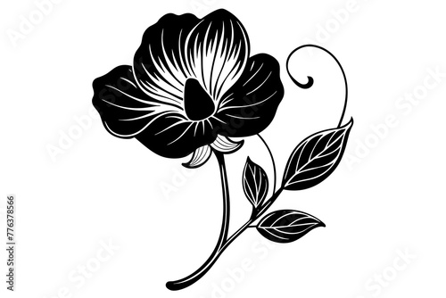 sweet pea flower vector illustration