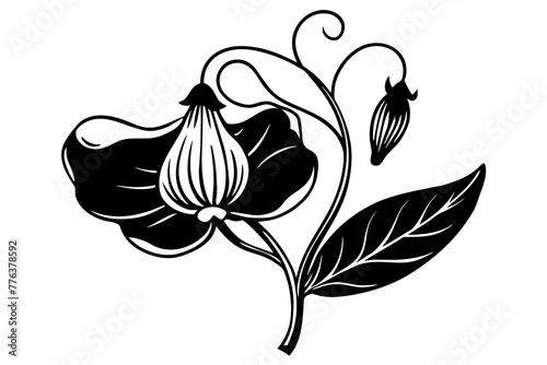 sweet pea flower vector illustration