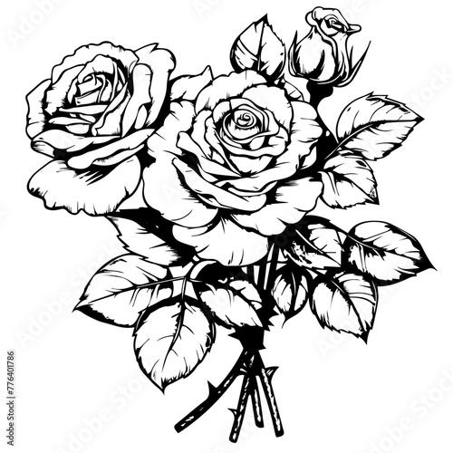 Wallpaper Mural Bouquet of Roses Line Art Vector Illustration
 Torontodigital.ca