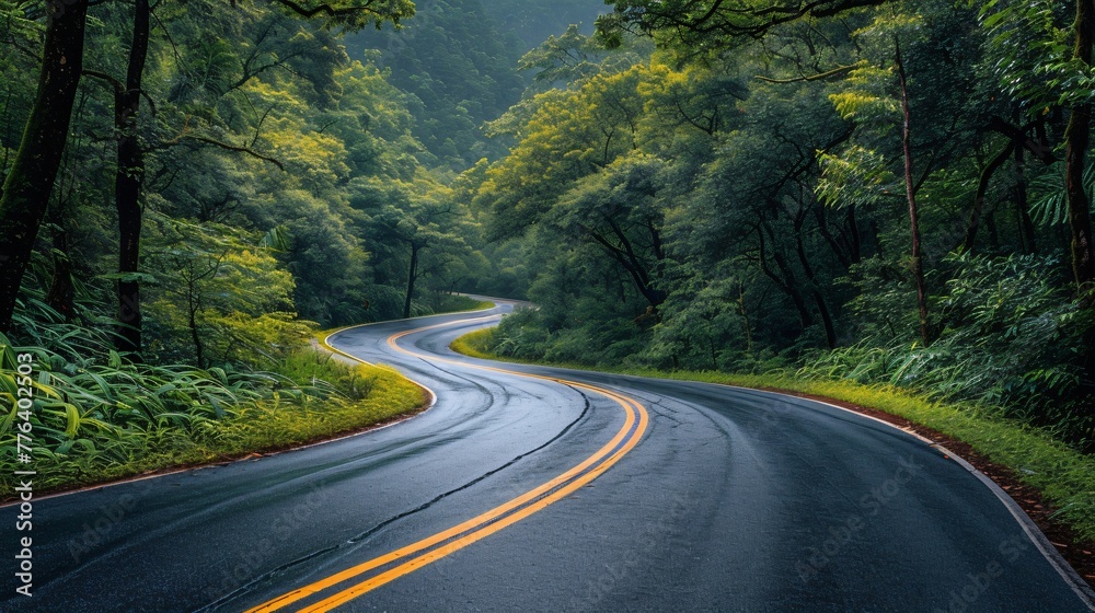 Serpentine forest road, lush greenery and blue sky. Scenic route natural landscape, travel adventure concept. Serpentine forest road, lush greenery and blue sky. Scenic route natural landscape, travel adventure concept.