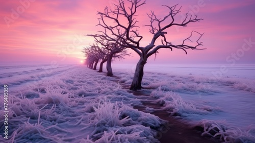 winter sunrise on the prairie in UHD Wallpaper