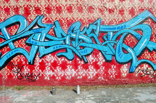 Cuadro en lienzo Graffiti on 34th Street Wall Gainesville Florida