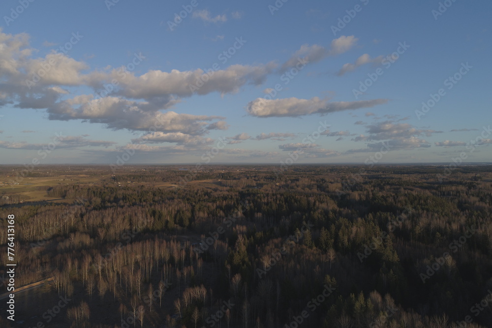 Drone flying above autumn forest