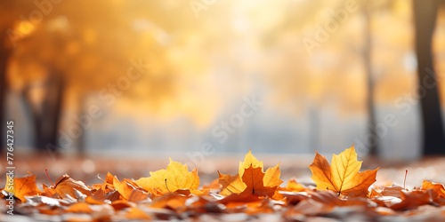 Autumn background with yellow leaves on bokeh defocused lights