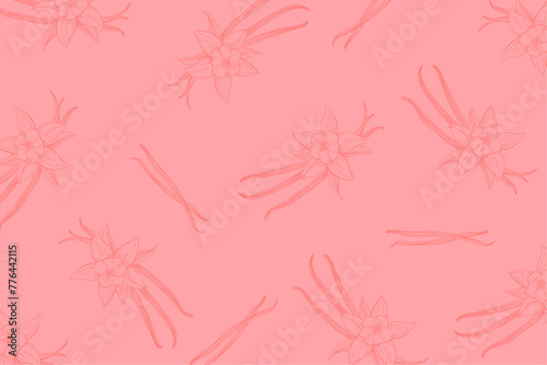 Vanilla hand draw pattern on pink background. Outline spice with flowers and leaves. Vector illustration.