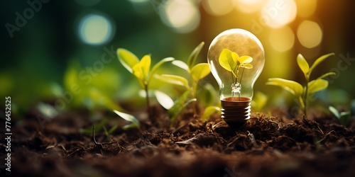 Light bulb with green plant growing out of soil. Ecology concept.