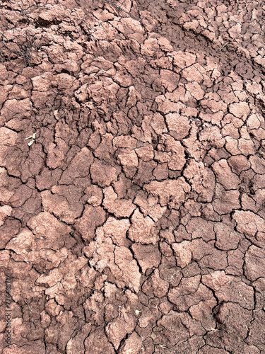 Cracked dried up earth during drought