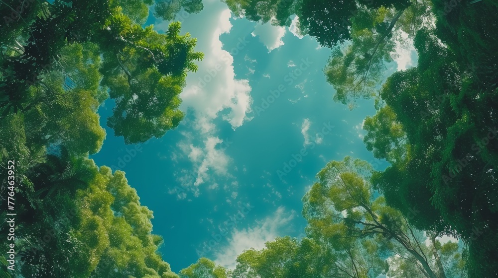 A view of a picture taken from above looking down at trees, AI