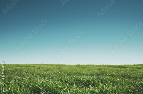 Expansive Lush Green Field with Clear Blue Sky