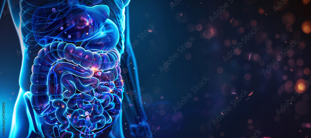 Glowing Digestive System, Human Anatomy in Detail