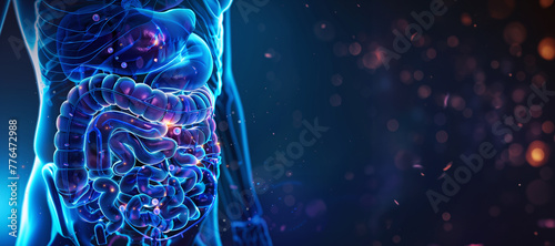 Obraz na płótnie Glowing Digestive System, Human Anatomy in Detail w salonie