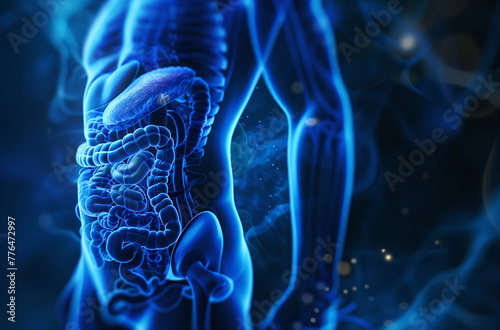 Obraz na płótnie Glowing Digestive System, Human Anatomy in Detail w salonie