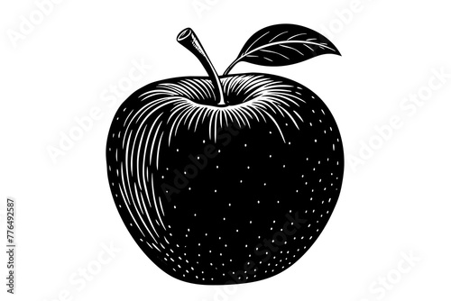 apple vector illustration