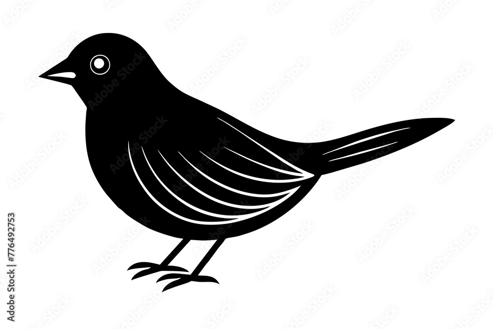 Obraz premium bird vector illustration