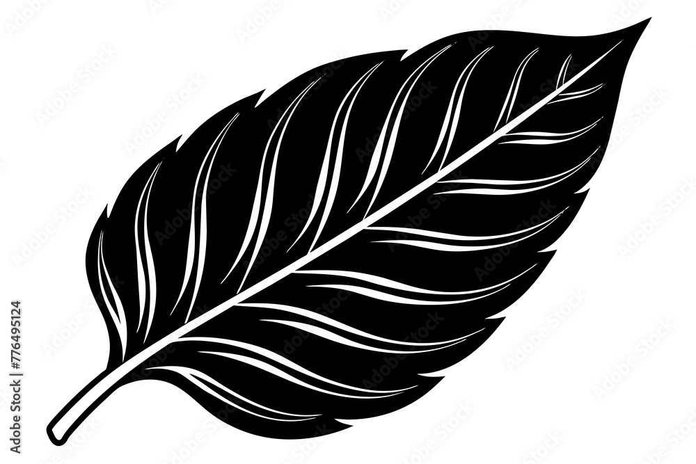 Obraz premium leaf silhouette vector illustration