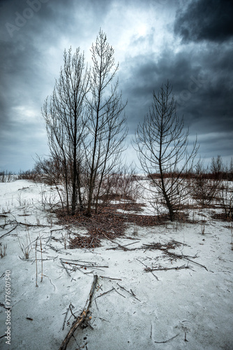 The reeds that completely filled the entire area with water now stand here with dying trees. Mystical place. Dried trees. Gray voluminous and dense sky above the quarry and trees © Александр Рябинин