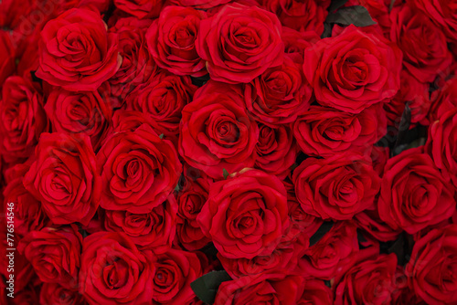 Vis  o superior de rosas vermelhas