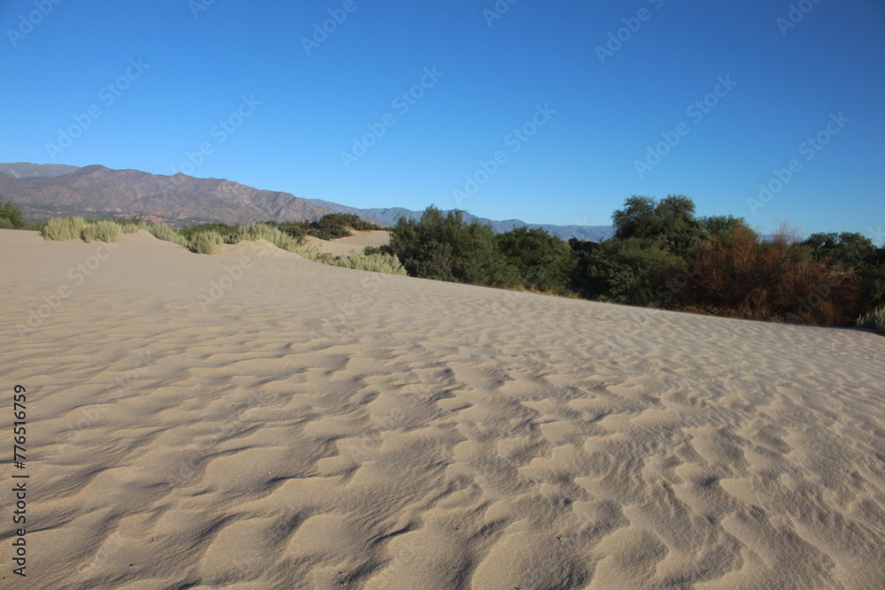 Sand dunes landscape of northwestern Argentina - obrazy, fototapety, plakaty 