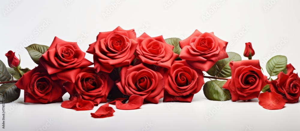 Numerous vibrant red roses arranged neatly on a wooden table in a simple and elegant display Numerous vibrant red roses arranged neatly on a wooden table in a simple and elegant display
