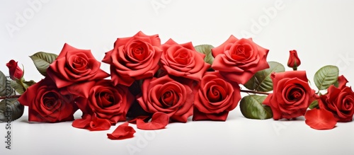 Numerous vibrant red roses arranged neatly on a wooden table in a simple and elegant display