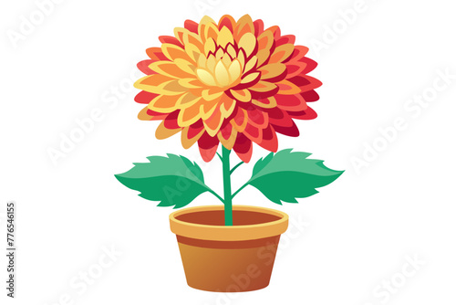 Fototapeta Naklejka Na Ścianę i Meble -  chrysanthemum in pot vector illustration
