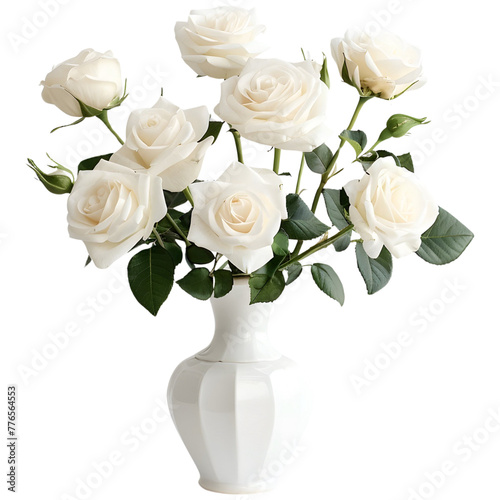 The white rose in vase