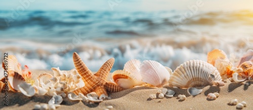 Shells and starfish scattered on the sandy shore during the tranquil sunset, creating a picturesque scene by the ocean © AkuAku