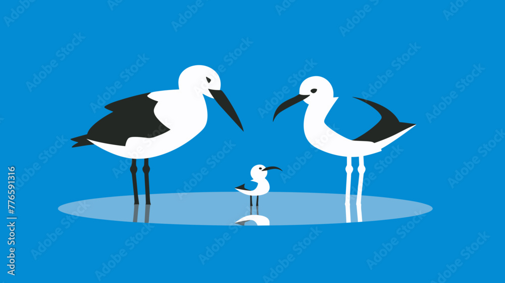 Fototapeta premium two birds on the beach