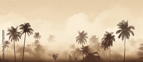 Several tall palm trees are surrounded by mist in a serene and tranquil setting