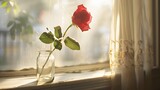 Delicate placement of single red rose in slender glass vase on windowsill.