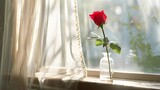Red rose standing tall in slender glass vase, delicately on windowsill.