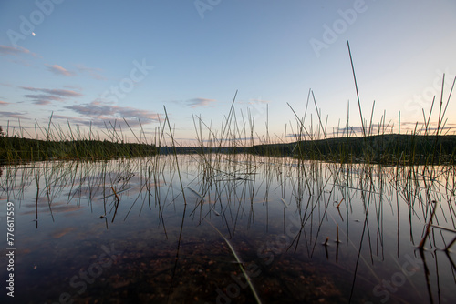 Sunset view over a lake through the reeds.